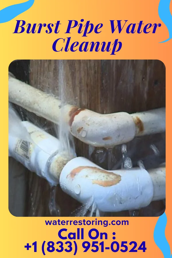 Burst Pipe Water Cleanup in Hatley, MS
