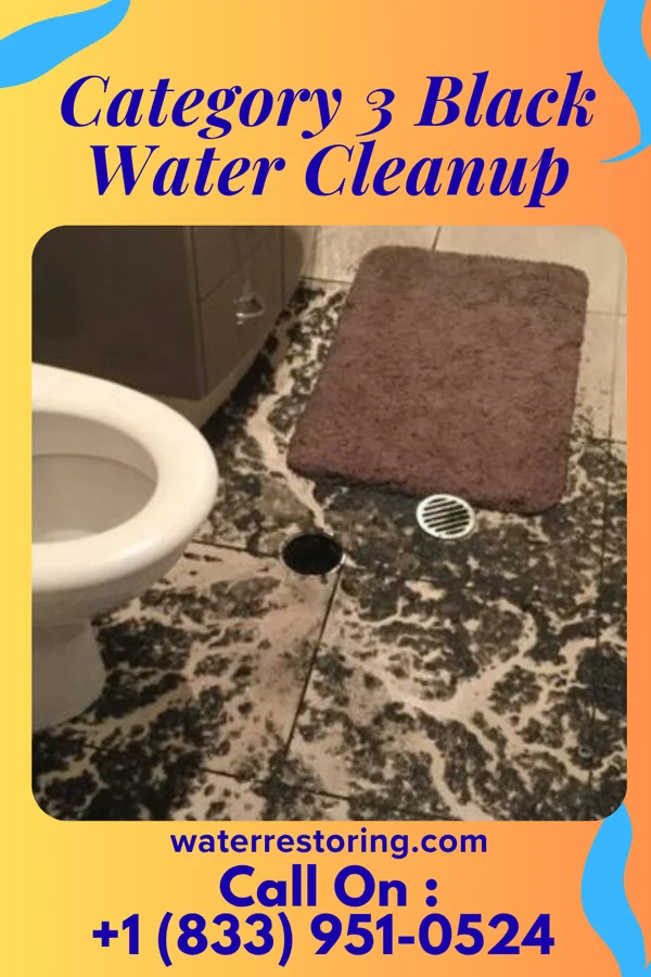 Category 3 Black Water Cleanup in Hatley, MS