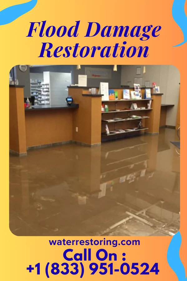 Flood Damage Restoration in Hatley, MS