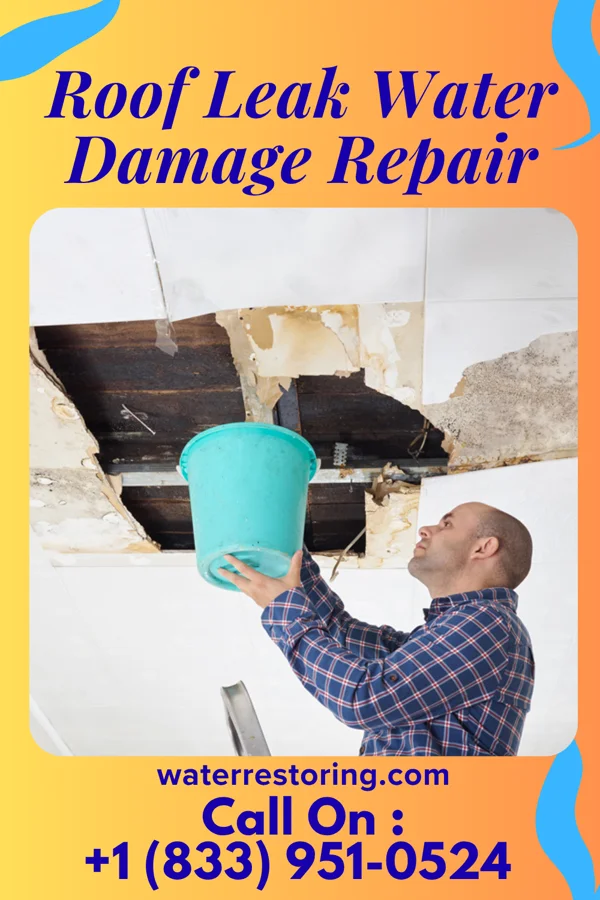 Roof Leak Water Damage Repair in Hatley, MS